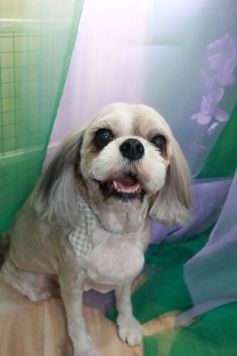 6b78c0d3-6b04-4e48-9452-81f10f8ec6b4