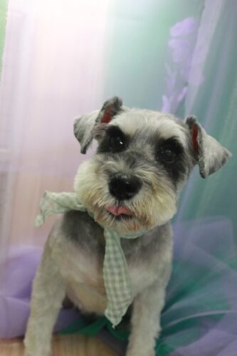 7c5479cd-5e49-4cb1-87a9-56cd36994f36