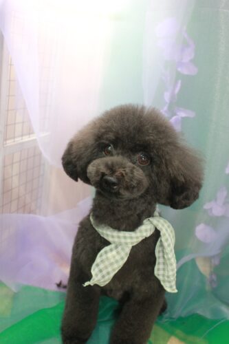 875937a7-5ec6-42df-a794-268a095cac18