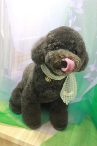 a25e1972-71d8-4026-ba61-7dbdebc2a690