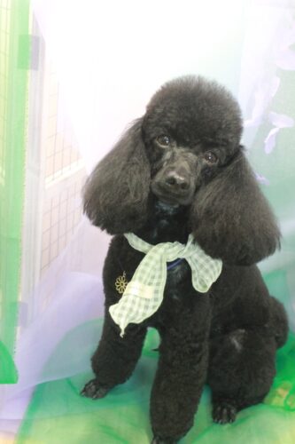 a79f0a09-052b-4371-8e2a-8c30a2ace87b