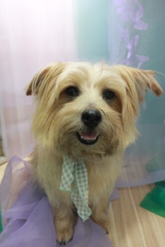 abcdc8dd-312d-4431-b864-43c3066a0e13