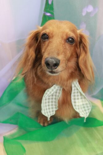 af567a7f-c5c8-4af9-a831-fa2daa3e7283