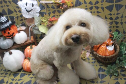 b1285e09-4d1e-4b4a-bb73-40f95aa78720