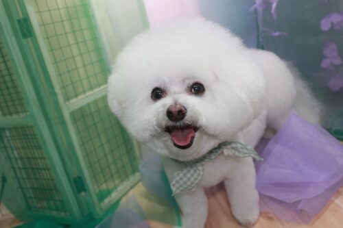 b7268cc2-6671-46b8-a5d1-b8ed561a9c70