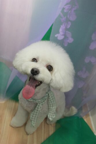 c3744656-7d6a-44d5-a655-9b9f9717619c