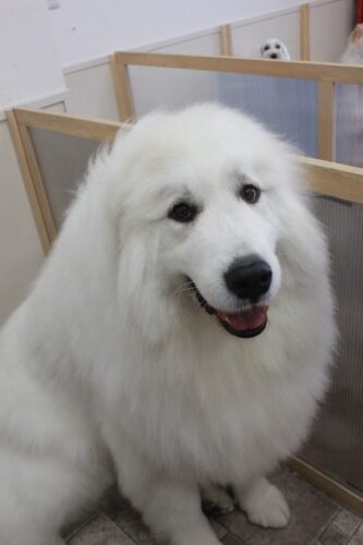 cc539892-21d2-43d1-b661-56d1d209d439