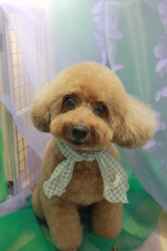 fa1809a9-cf8c-4460-a4bd-e68174afa37d