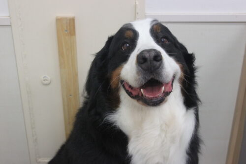 0623%e7%94%b0%e4%b8%ad%e3%83%a1%e3%83%ad