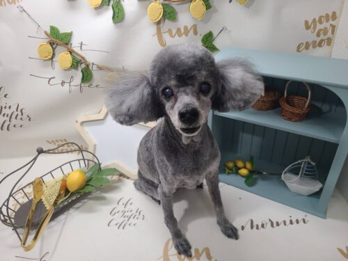 0704%e6%b8%85%e6%b0%b4%e3%82%af%e3%83%ad%e3%82%a8