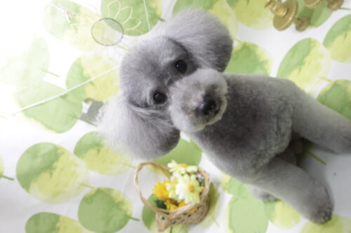 0824%e6%a3%ae%e3%82%b8%e3%83%ad