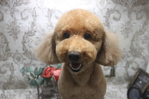 1012%e8%8f%85%e7%94%b0%e7%a9%ba