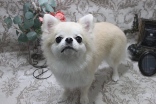 1012%e9%ab%98%e8%a6%8b%e3%81%8d%e3%81%aa%e3%81%93