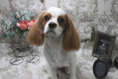 1012%e9%ab%98%e8%a6%8b%e3%81%bd%e3%82%93%e3%81%9a