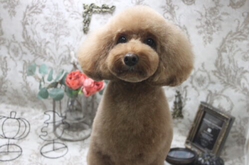 1013%e5%86%85%e6%b5%b7%e3%83%81%e3%83%a7%e3%82%b3