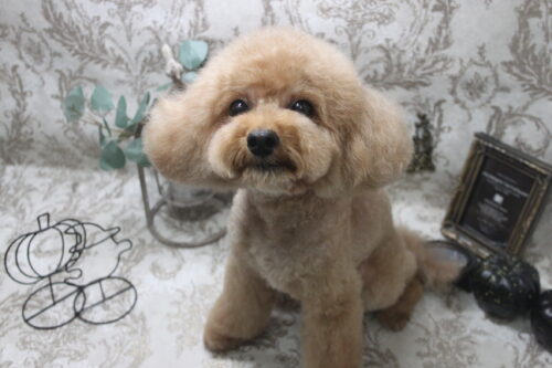 1013%e5%8a%a0%e8%97%a4%e3%83%90%e3%83%ad