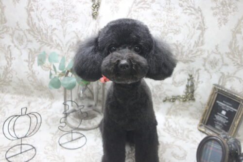 1013%e5%a4%a7%e4%b8%8a%e3%81%93%e3%81%aa%e3%81%a4