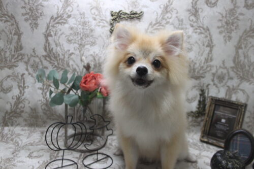 1013%e5%b7%9d%e7%ab%af%e3%83%9d%e3%83%9d