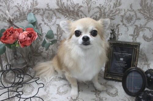 1013%e5%b9%b3%e6%9c%ac%e3%81%86%e3%81%9f