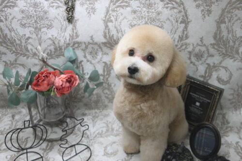 1013%e6%9f%b4%e7%94%b0%e3%81%ab%e3%81%93