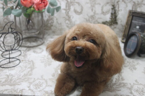 1013%e8%a5%bf%e7%94%b0%e3%81%86%e3%81%ab