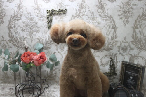 1016%e4%b8%ad%e5%b3%b6%e3%82%bb%e3%83%8a