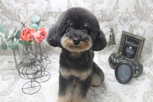 1016%e5%b1%b1%e4%b8%8b%e3%82%8d%e3%82%8d