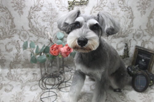 1016%e6%bf%b1%e9%87%8e%e3%83%9e%e3%83%ab