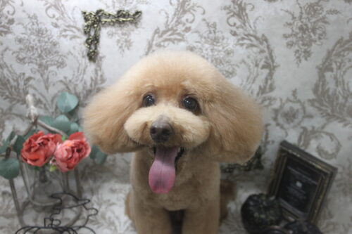 1016%e7%9c%9f%e5%a2%83%e5%90%8d%e3%83%a9%e3%83%83%e3%82%ad%e3%83%bc