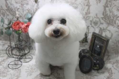 1016%e7%a6%8f%e4%ba%95%e3%83%a9%e3%83%86