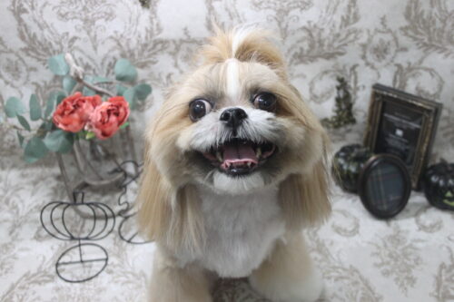 1016%e8%a5%bf%e5%8f%a3%e3%82%8a%e3%82%93