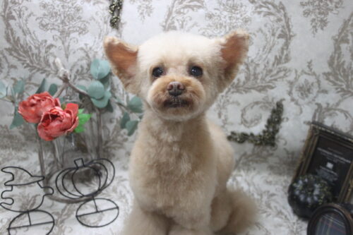 1025%e5%9d%82%e7%94%b0%e3%83%88%e3%82%a4