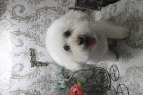 1025%e5%b1%b1%e4%b8%8b%e3%83%ad%e3%83%8a