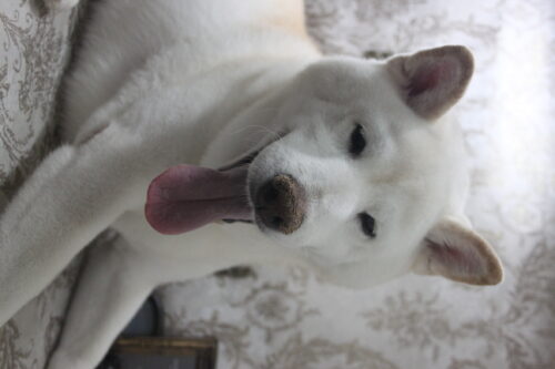 1025%e6%b0%b4%e5%b1%b1%e3%82%ab%e3%82%ba