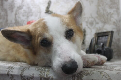 1025%e6%b0%b4%e5%b1%b1%e3%82%b3%e3%83%ad