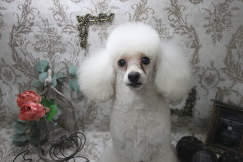 1025%e6%b2%b3%e5%8d%97%e3%81%b9%e3%81%b9