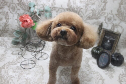 1025%e8%a7%92%e7%94%b0%e3%81%a0%e3%82%93