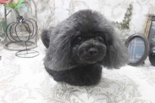 1025%e8%b0%b7%e5%9c%b0%e3%82%ad%e3%82%ad%e3%82%a3