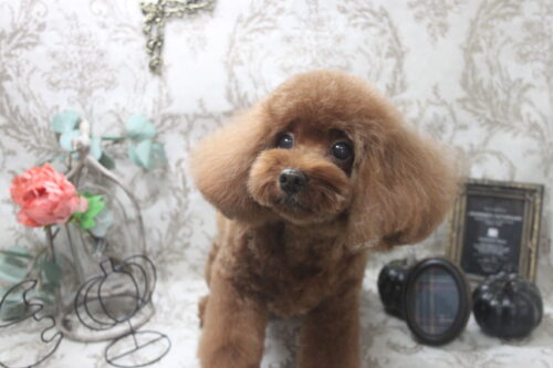 1025%e8%b0%b7%e5%9c%b0%e3%83%a9%e3%83%a9%e3%82%a1