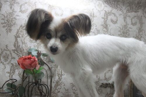 1025%e9%9d%92%e6%9c%a8%e3%81%be%e3%82%8d