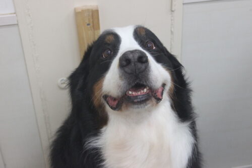 1102%e7%94%b0%e4%b8%ad%e3%83%a1%e3%83%ad