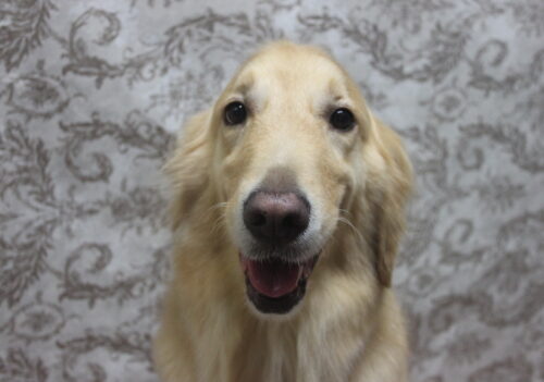 1103%e4%b8%ad%e5%a1%9a%e3%82%89%e3%82%80