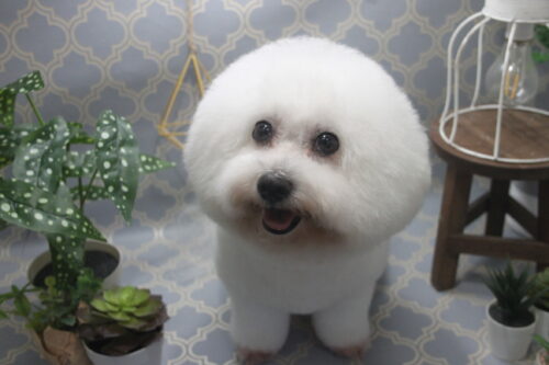 1103%e7%94%b0%e9%82%8a%e3%83%8b%e3%82%b3