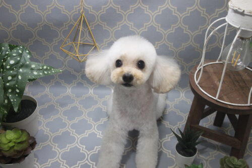 1103%e8%b0%b7%e3%83%a2%e3%82%ab