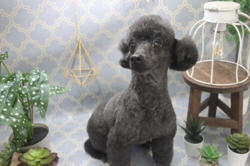 1103%e9%95%b7%e8%b0%b7%e5%b7%9d%e3%82%a6%e3%82%a3%e3%83%ab