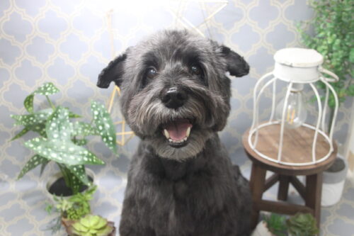 1106%e6%9c%a8%e9%87%8e%e6%9d%91%e3%83%a9%e3%83%b3%e3%83%87%e3%82%a3