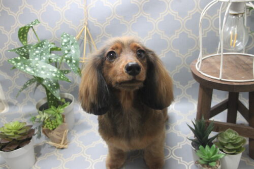 1106%e6%9d%be%e6%9d%91%e3%83%a9%e3%83%96