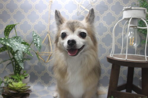 1106%e9%87%8e%e7%94%b0%e3%81%82%e3%82%86