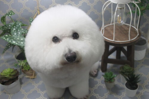 1106%e9%ab%98%e6%a9%8b%e3%83%ab%e3%83%ab