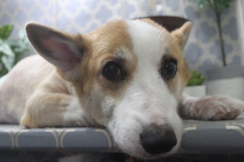 1129%e6%b0%b4%e5%b1%b1%e3%82%b3%e3%83%ad